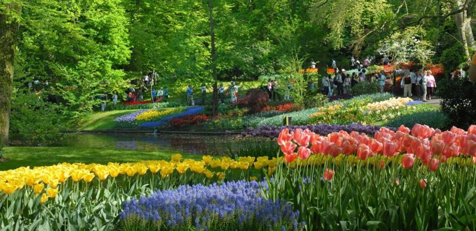 Белгия - Нидерландия - Люксембург