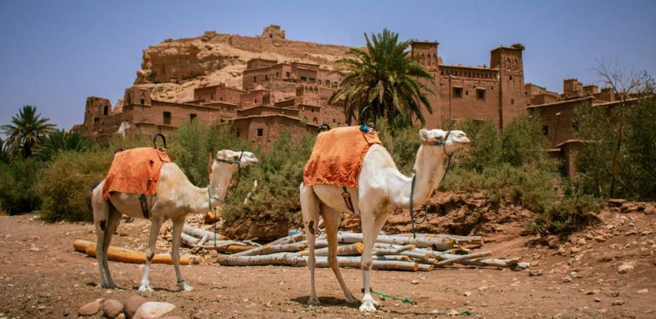 Мароко - Имперски тур