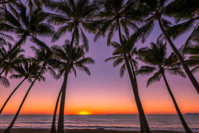 САЩ - Западно крайбрежие, с Хаваите  10.07.2026, 14.08.2026