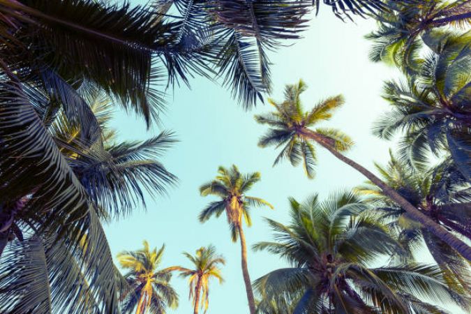 САЩ - Източно и Западно крайбрежиe, с круиз по Бахамите 12.06.2026, 11.09.2026